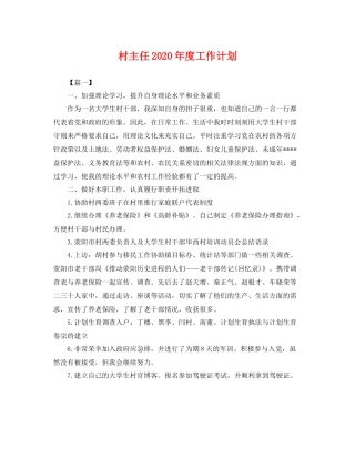 村主任年度工作计划 