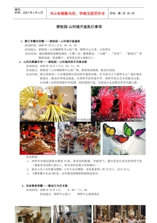 某地产山河城开盘执行方案