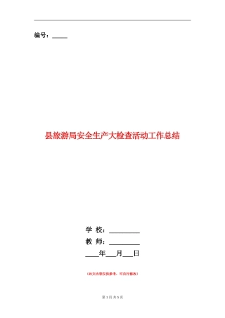 县旅游局安全生产大检查活动工作总结