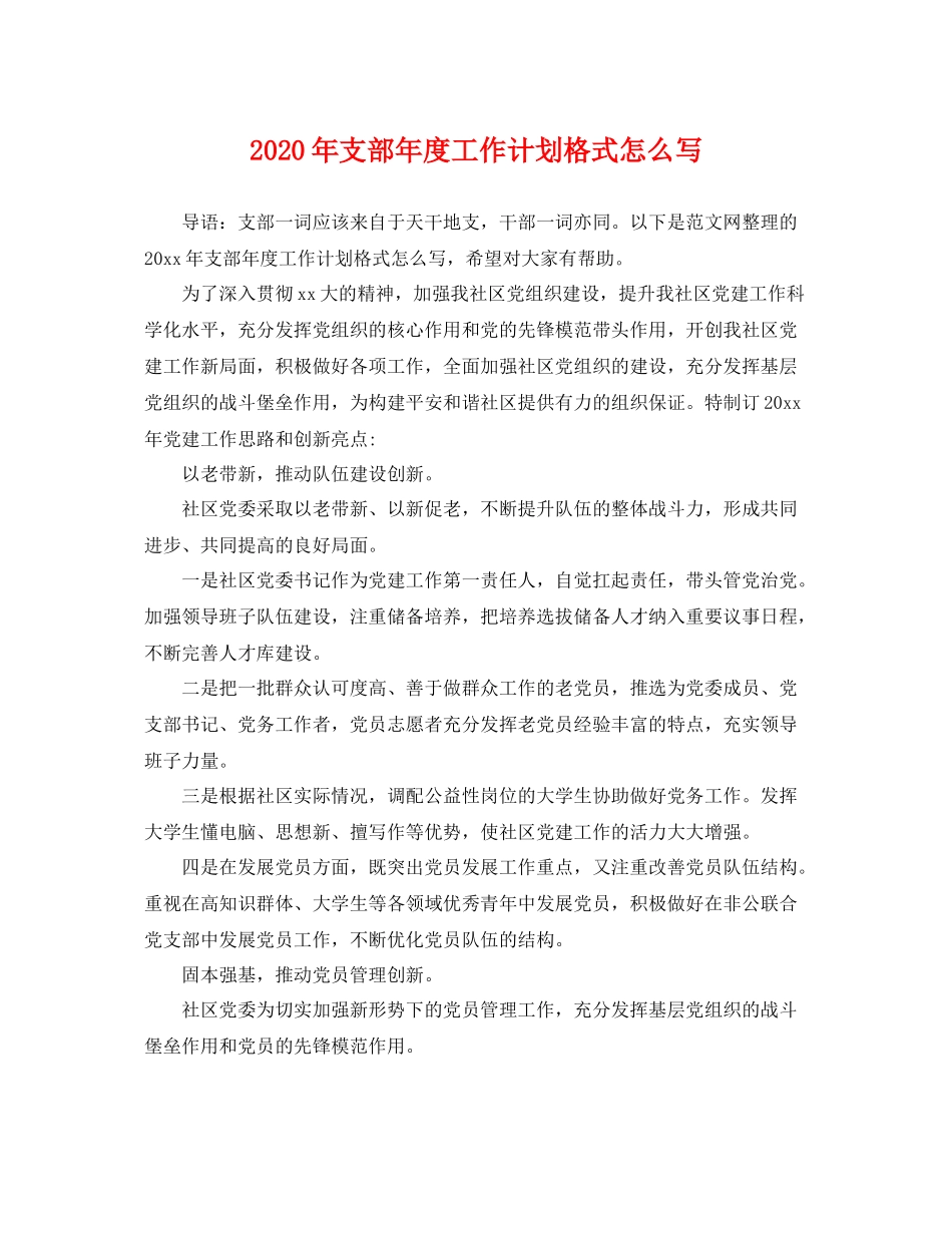 2020年支部年度工作计划格式怎么写 _第1页