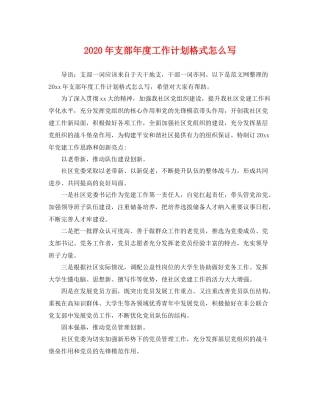 2020年支部年度工作计划格式怎么写 