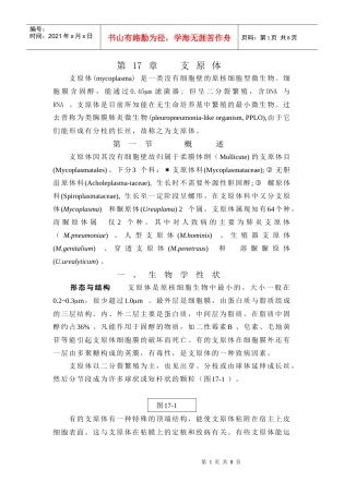 查看讲义详细内容-上海交通大学医学院精品课程