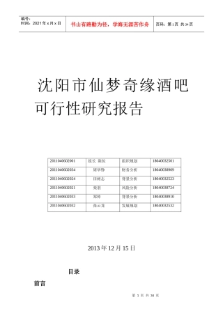 沈阳市仙梦奇缘酒吧可行性研究报告