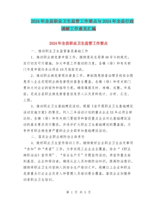2024年全县职业卫生监管工作要点与2024年全县行政调解工作意见汇编