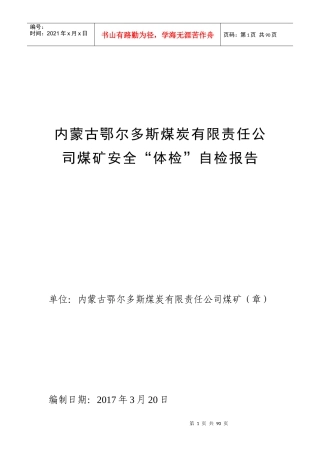 煤炭有限责任公司煤矿安全体检自检报告
