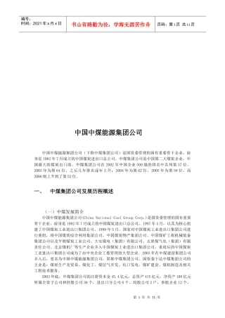 某能源集团公司介绍