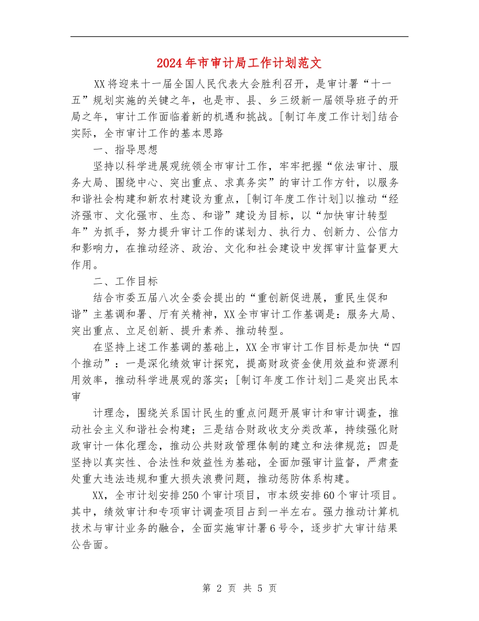 2024年市审计局工作计划范文_第2页