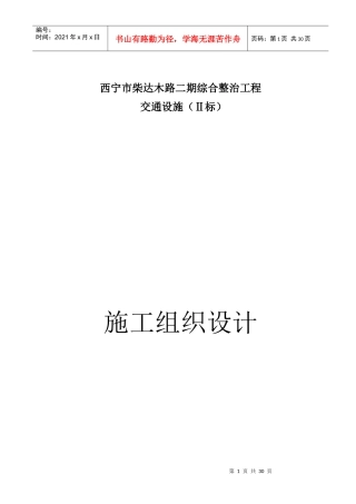 柴达木路交通设施2 实施方案