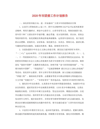 2020年市团委工作计划报告 