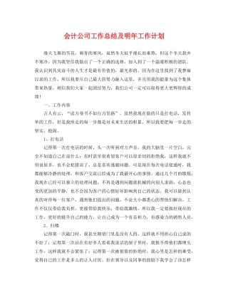 会计公司工作总结及明年工作计划 