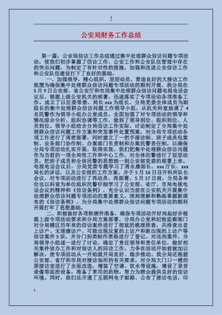 公安局财务工作总结