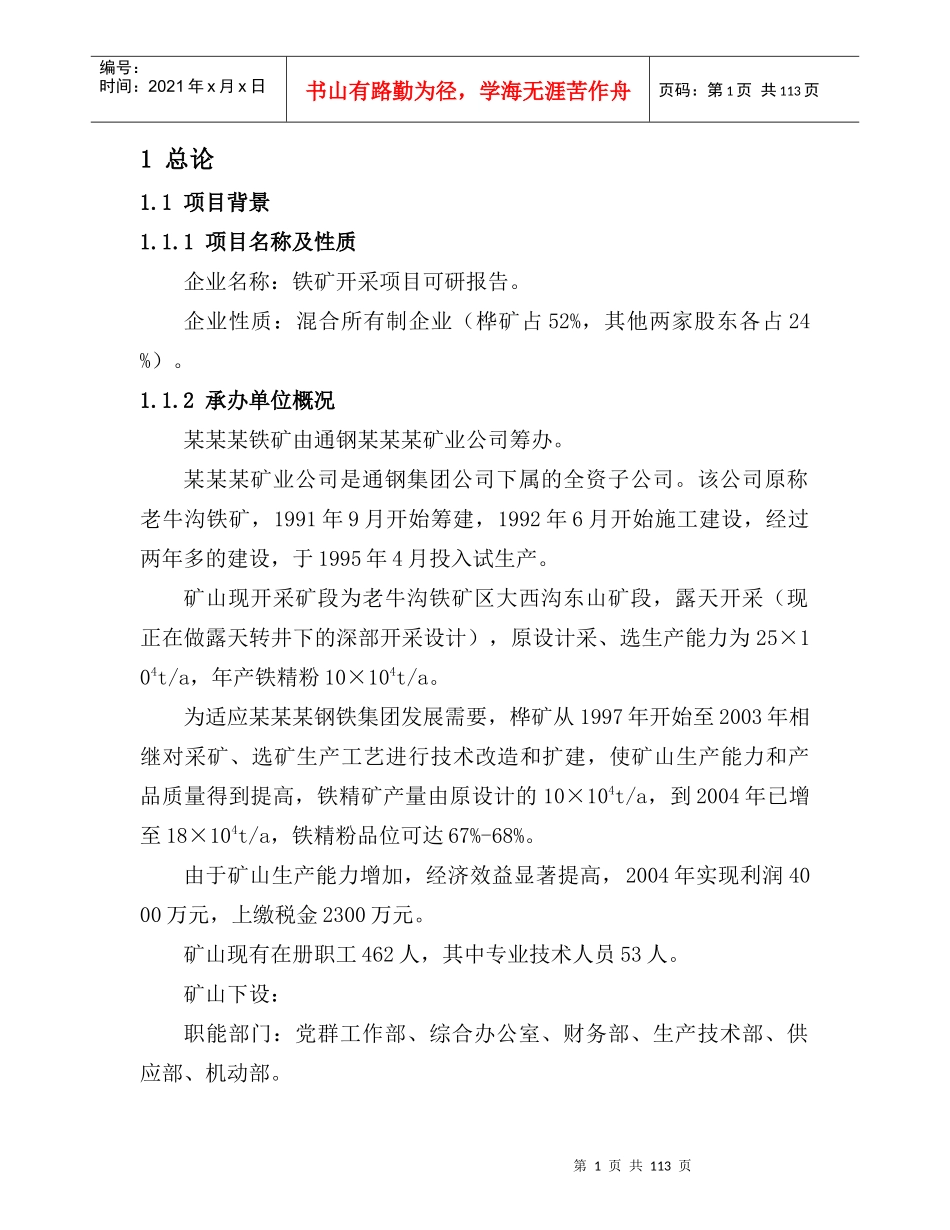某钢铁集团铁矿开采项目投资可行性研究报告_第1页