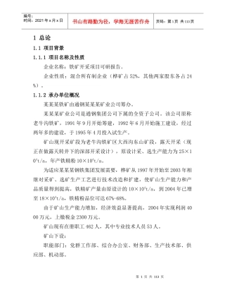 某钢铁集团铁矿开采项目投资可行性研究报告