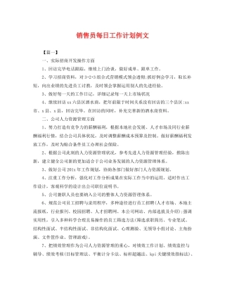销售员每日工作计划例文 