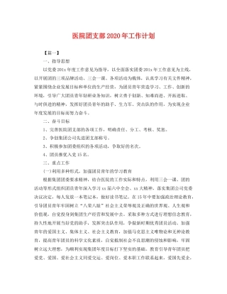 医院团支部年工作计划 