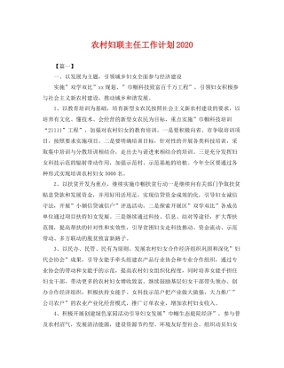 农村妇联主任工作计划2020 