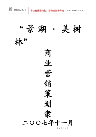 湖北荆州景湖商业地产项目策划案