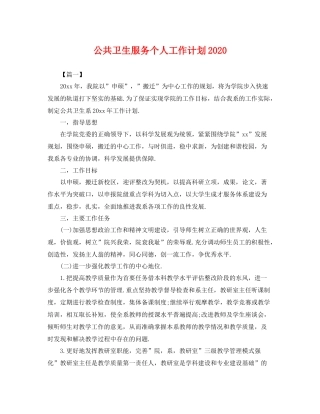 公共卫生服务个人工作计划 