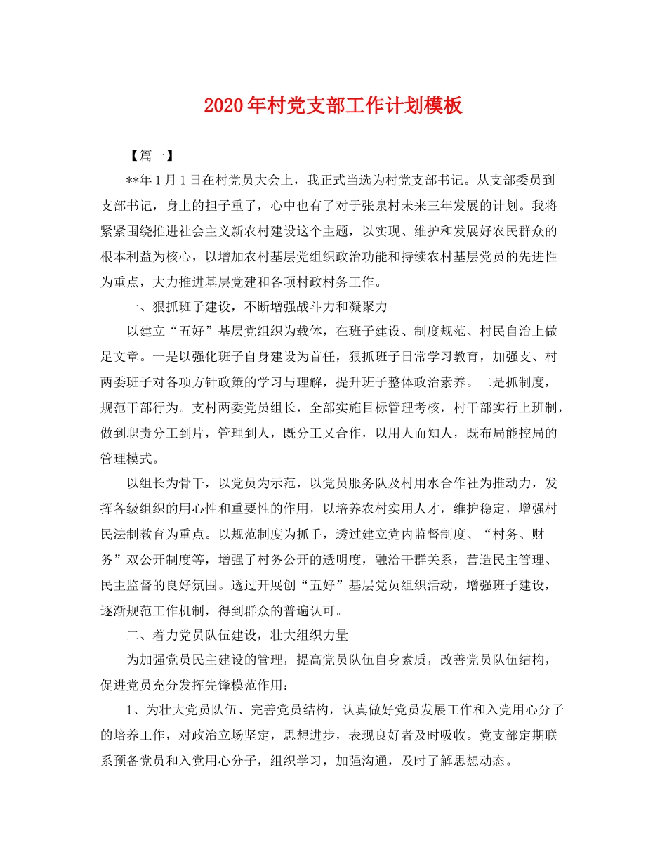 2020年村党支部工作计划模板 _第1页