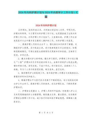 2024年内科护理计划与2024年内部审计工作计划1汇编