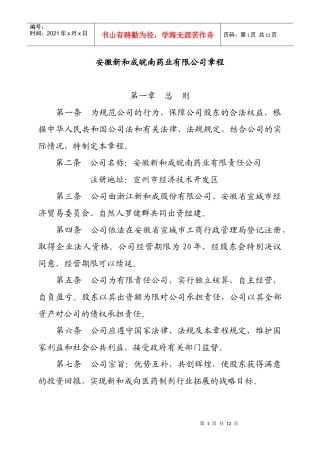 某集团医药连锁体系设计建议书