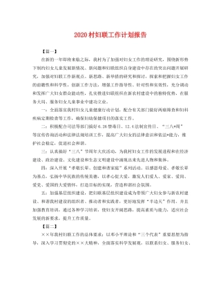 村妇联工作计划报告 