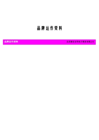 某公司品牌运作资料