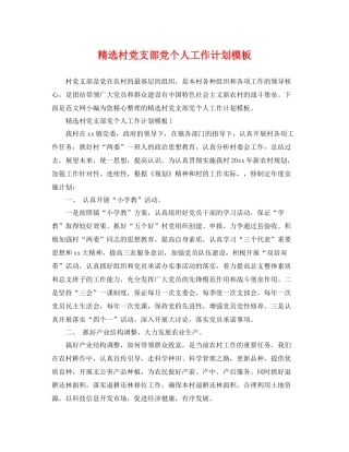 精选村党支部党个人工作计划模板 