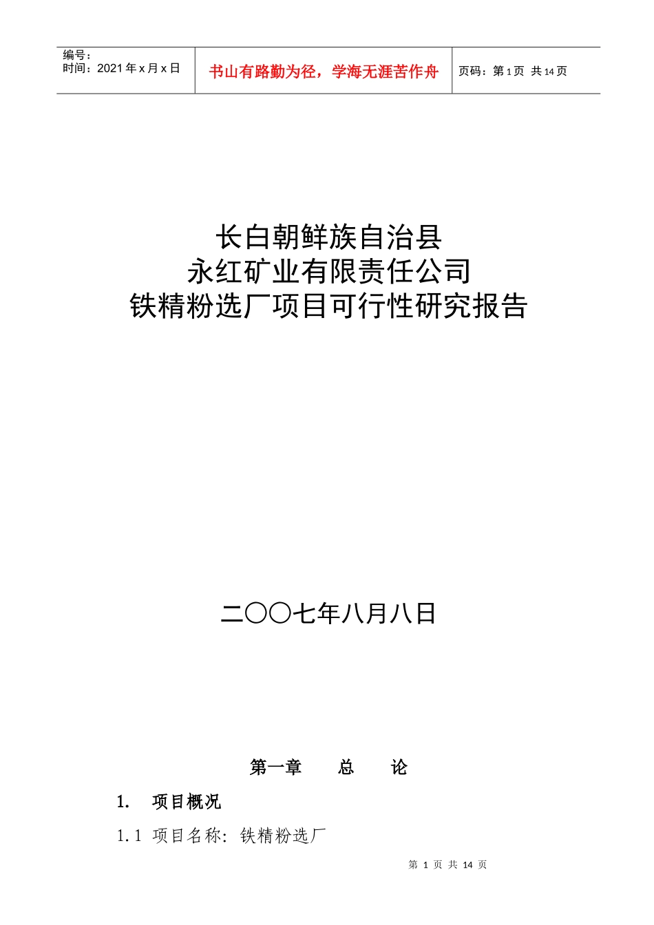 永红矿业有限责任公司可研报告_第1页