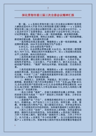 深入贯彻市委三届三次全委会议精神汇报