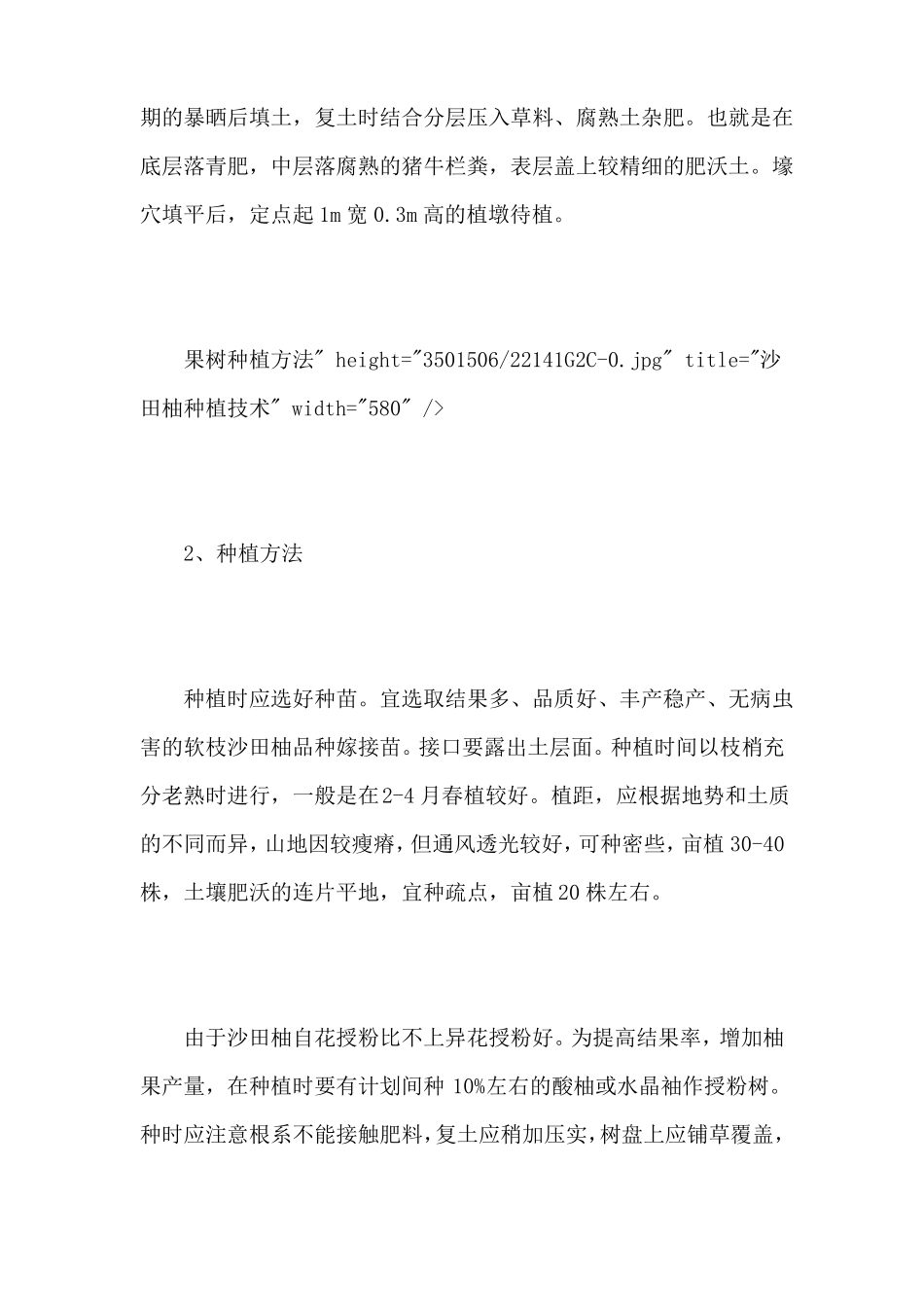 沙田柚种植技术_第2页