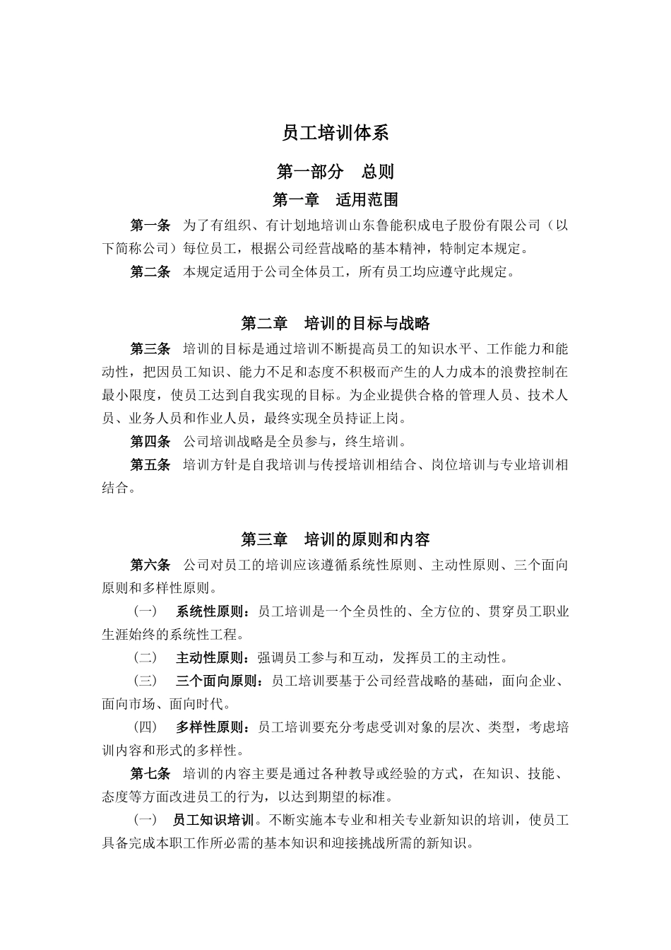 某电子公司员工培训体系_第1页