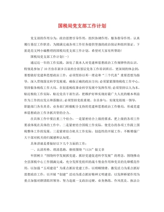 国税局党支部工作计划 