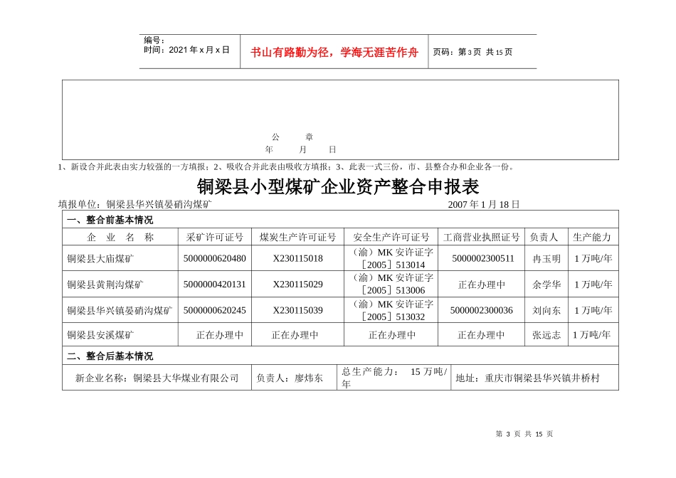 煤矿企业资产整合申报表_第3页