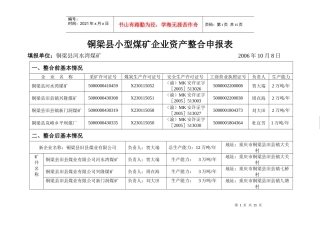 煤矿企业资产整合申报表