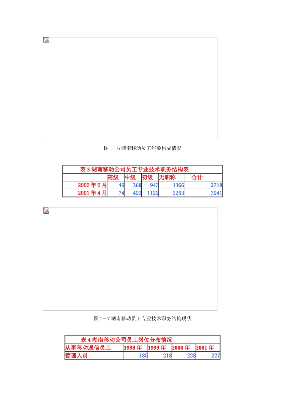 湖南移动通信人力资源现状与分析_第2页