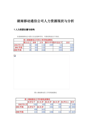 湖南移动通信人力资源现状与分析