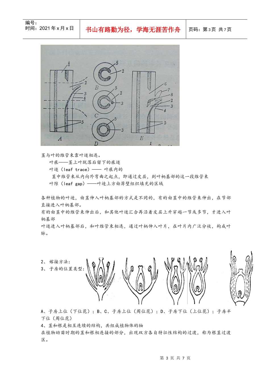 植物生物学 复习考试_第3页