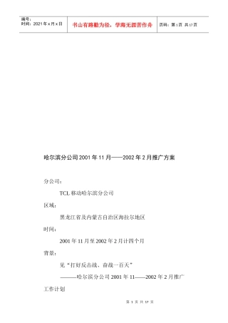 某电子集团移动哈尔滨分公司年度推广方案