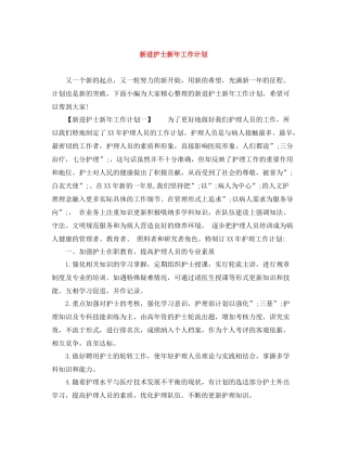 新进护士新年工作计划 
