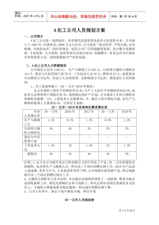 某某化工公司人员规划方案