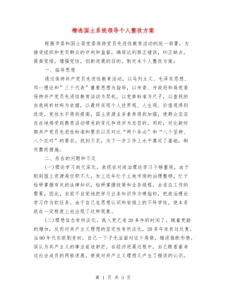 国土系统领导个人整改方案