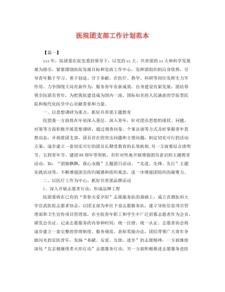 医院团支部工作计划范本 