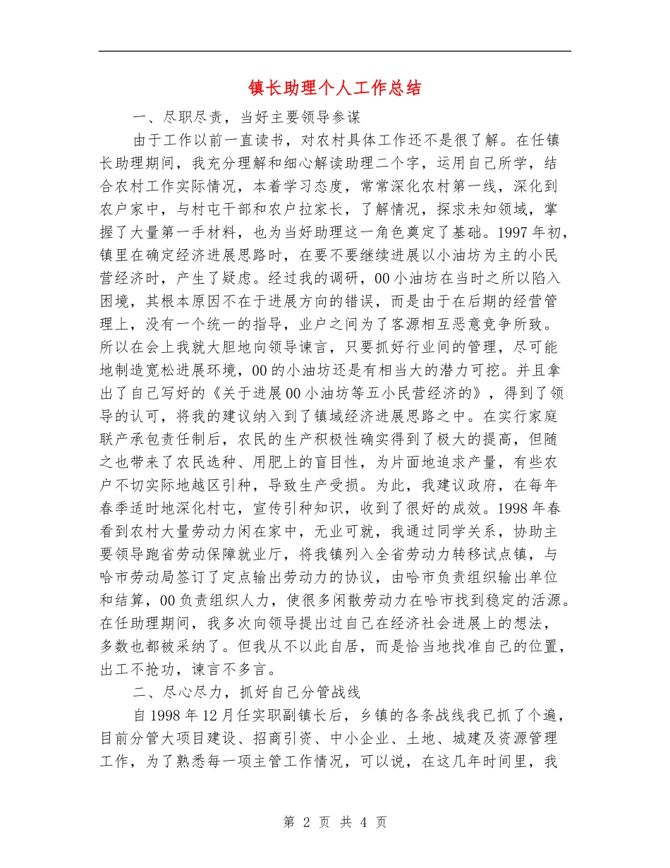 镇长助理个人工作总结_第2页