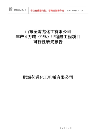 某化工公司甲缩醛工程项目可行性研究报告
