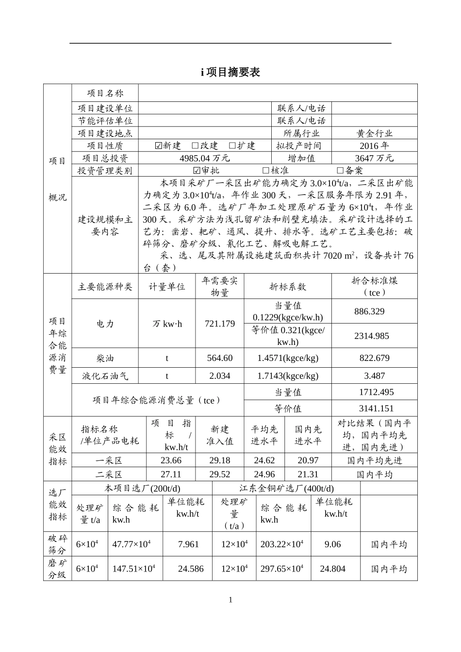 某黄金矿山能能评报告(审查通过)_第1页