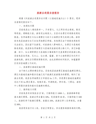 旅游业发展自查报告