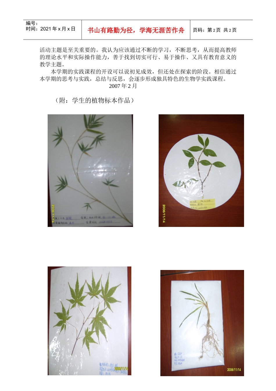 浅谈生物学综合实践课_第2页