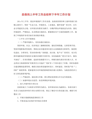 县保局上半年工作总结和下半年工作计划 
