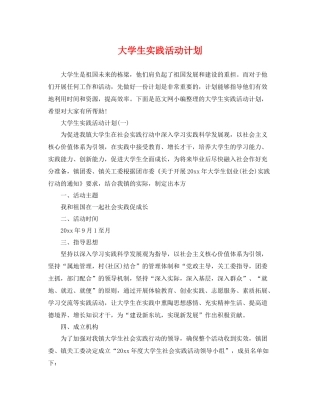 大学生实践活动计划 